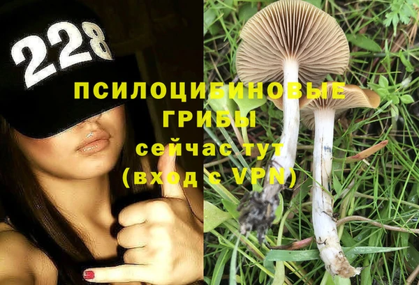 дмт Абинск