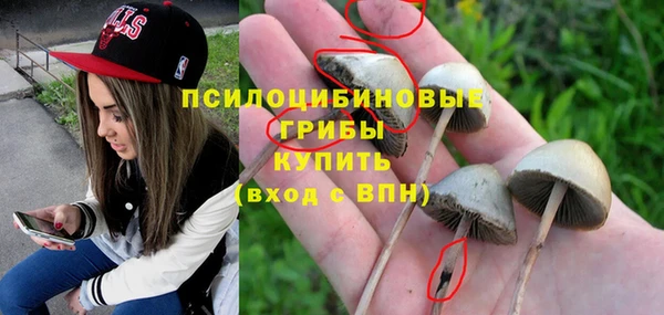 дживик Галич