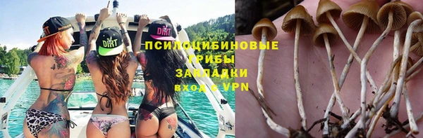 трава Абаза