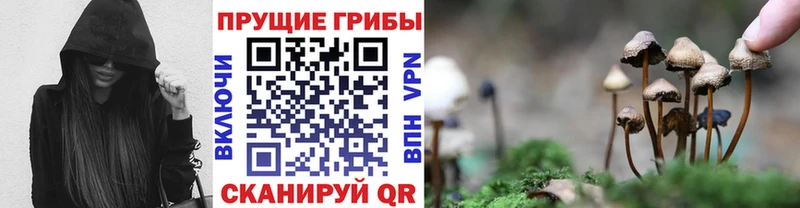MEGA зеркало Азнакаево Галлюциногенные грибы ЛСД где найти